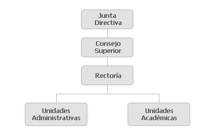 Organización
