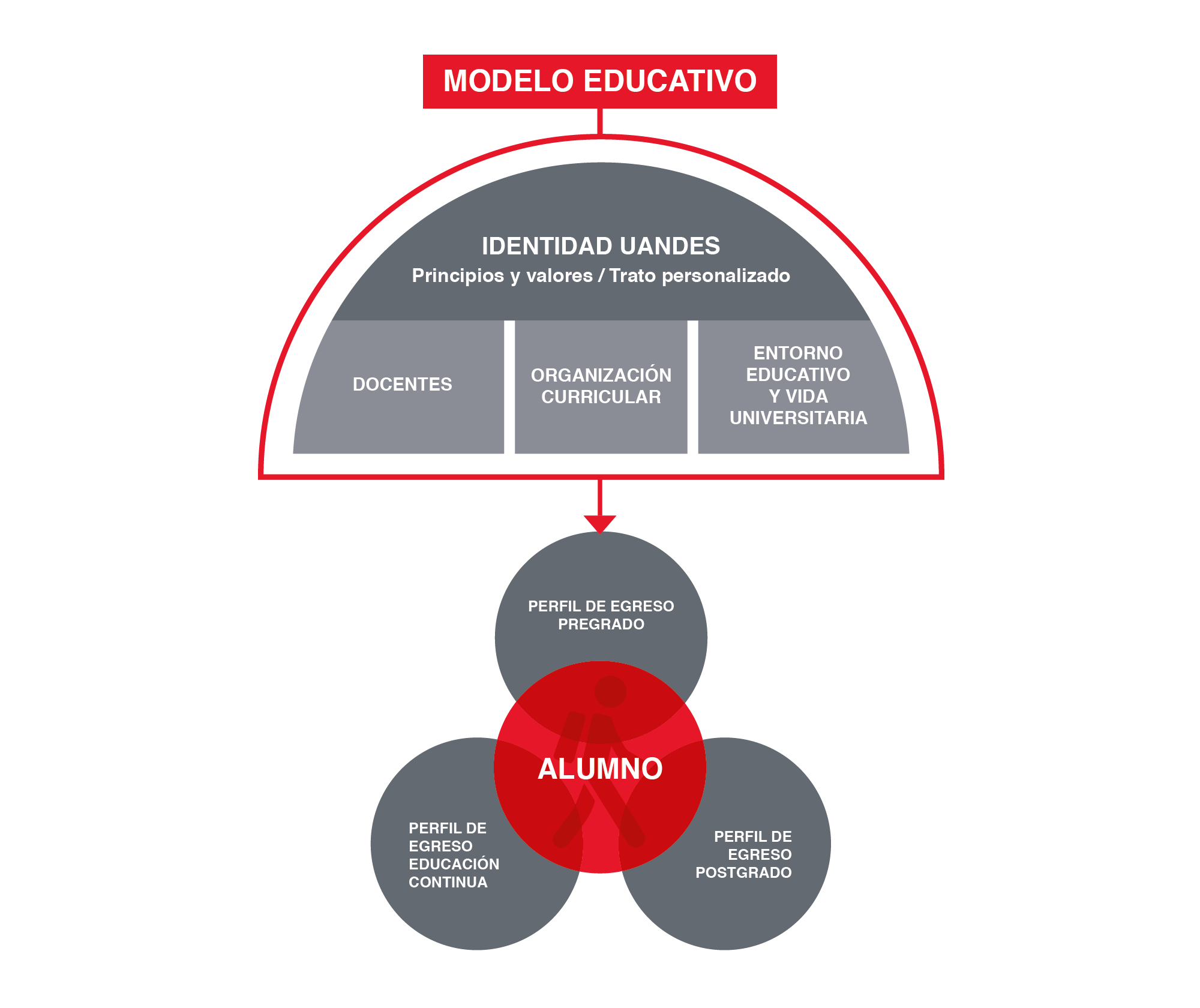Modelo Educativo - Universidad de los Andes