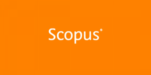 Ingeniería 181 Scopus