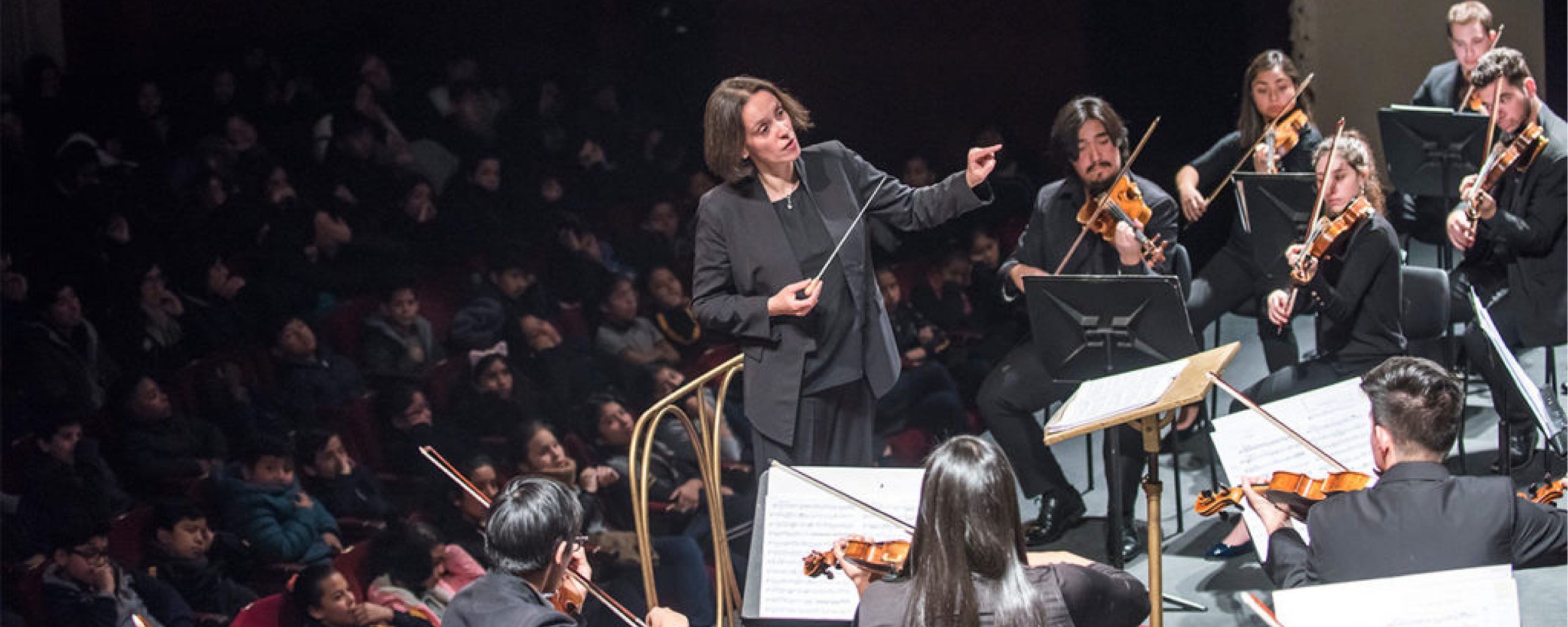 Concierto Camerata UANDES