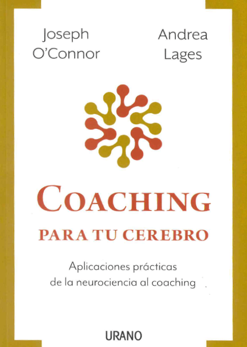 Novedad