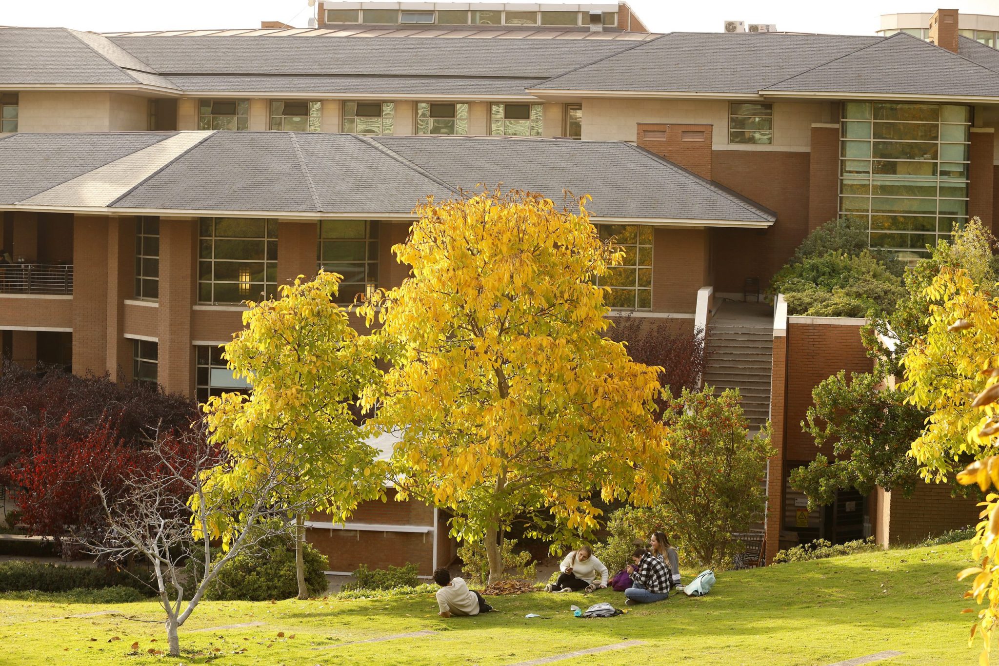Facultad de Ciencias Sociales - Universidad de los Andes