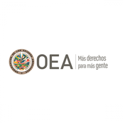 Derecho 305 oea