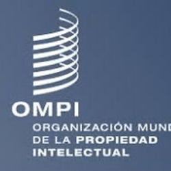 Derecho 300 ompi