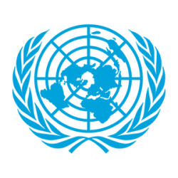 Derecho 308 onu