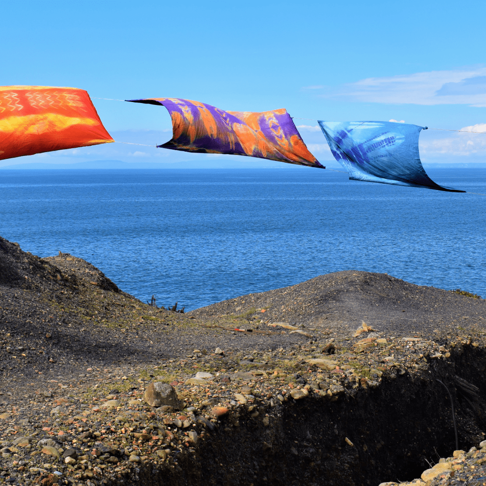 Esta imagen tiene un atributo ALT vacío; su nombre de archivo es color.png