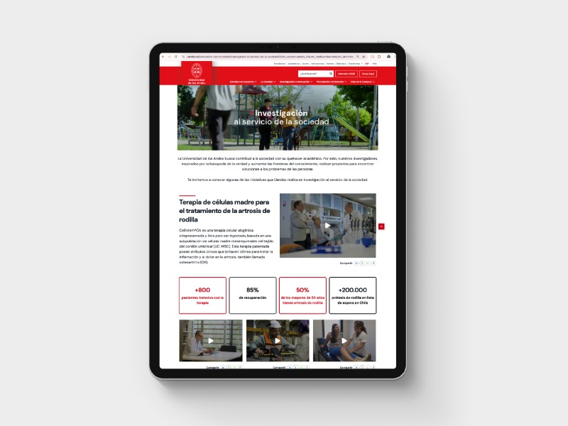 Newsletter digitales