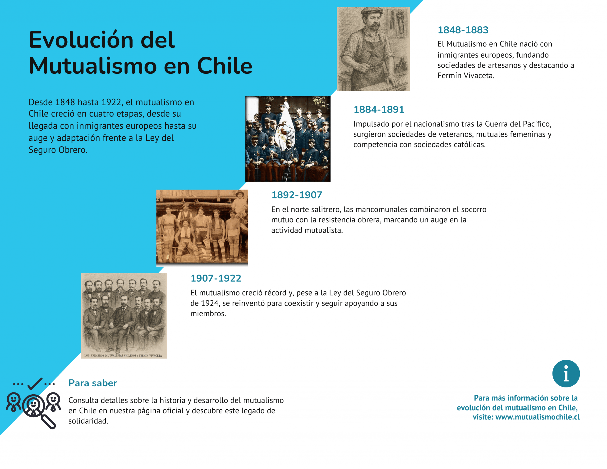 Nuestras áreas 33 Evolucion del Mutualismo en Chile scaled