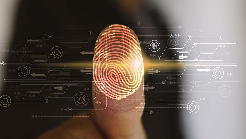 Potencia tu identidad digital