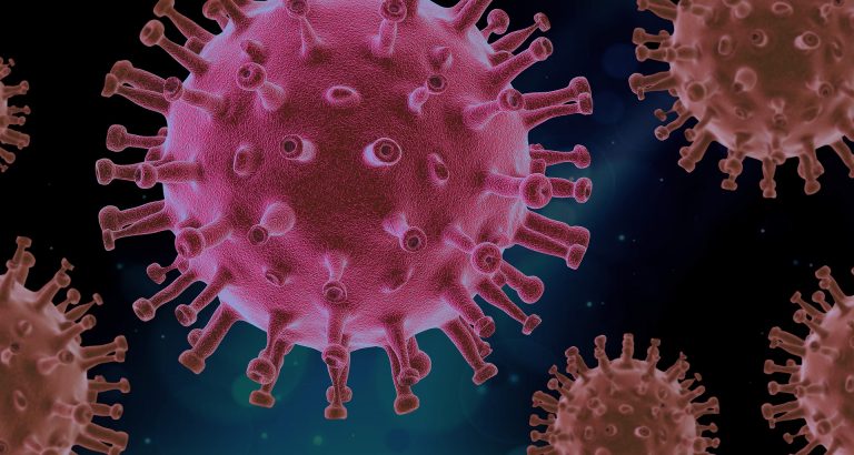 Blog 8 Virus