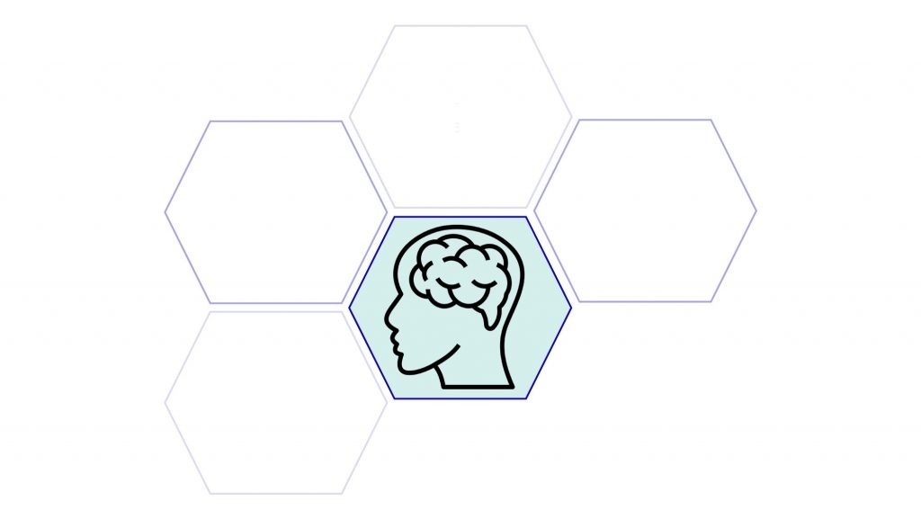 programa neurociencias