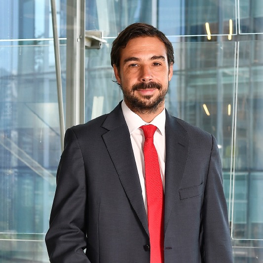 Cristián Carmona Larraín