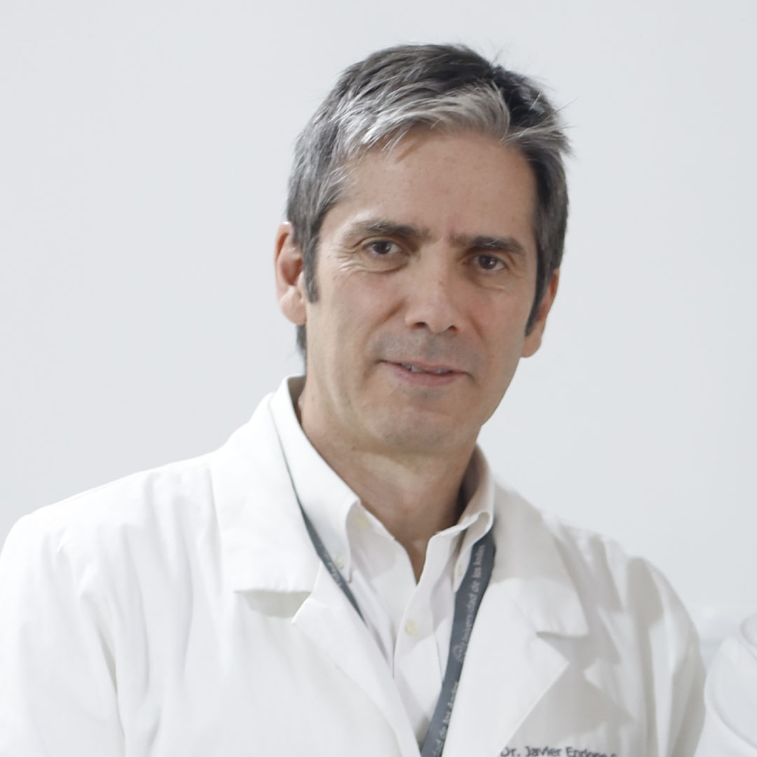 Javier Enrione Caceres