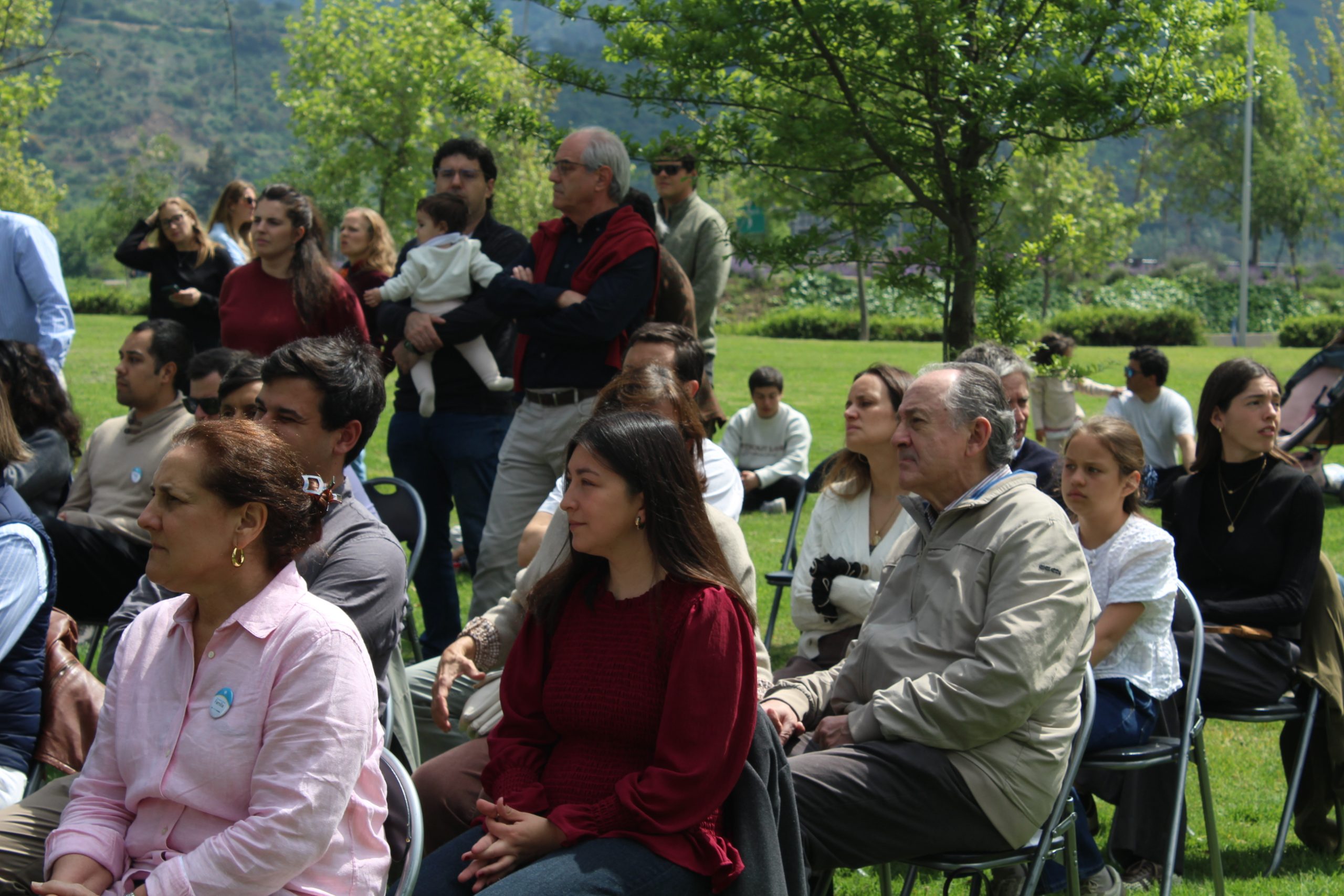IMG 7462 scaled